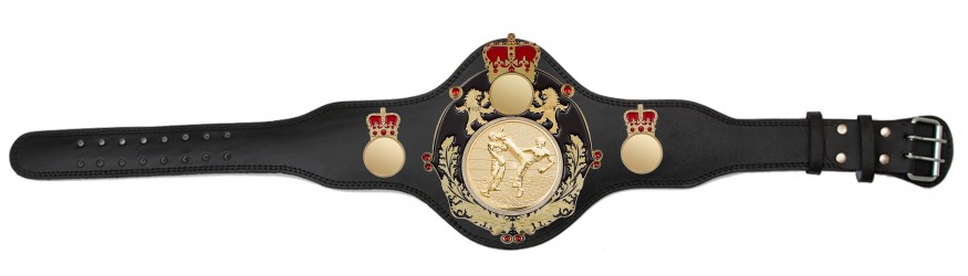 QUEENSBURY PLT LEATHER KICKBOXING CHAMPIONSHIP BELT - PLTQUEEN/B/G/KBOG - AVAILABLE IN 4 COLOURS QUEENSBURY PLT LEATHER KICKBOXING CHAMPIONSHIP BELT - PLTQUEEN/B/G/KBOG - AVAILABLE IN 4 COLOURS